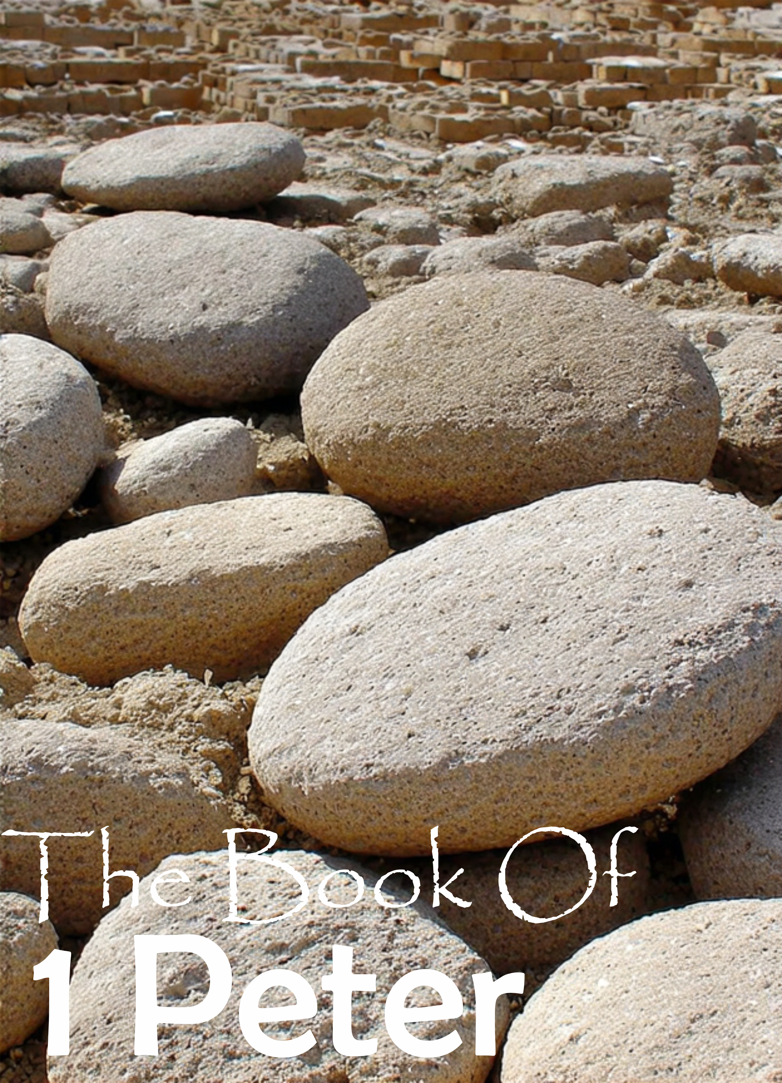 The Book of  1 Peter